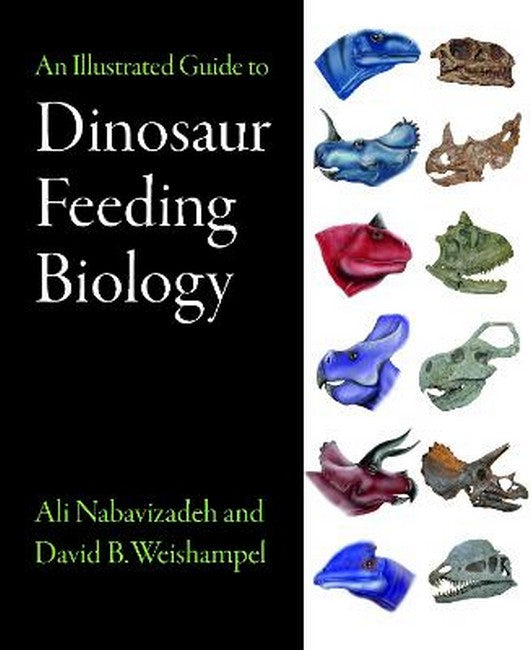 An Illustrated Guide to Dinosaur Feeding Biology cover