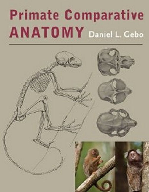 Primate Comparative Anatomy cover