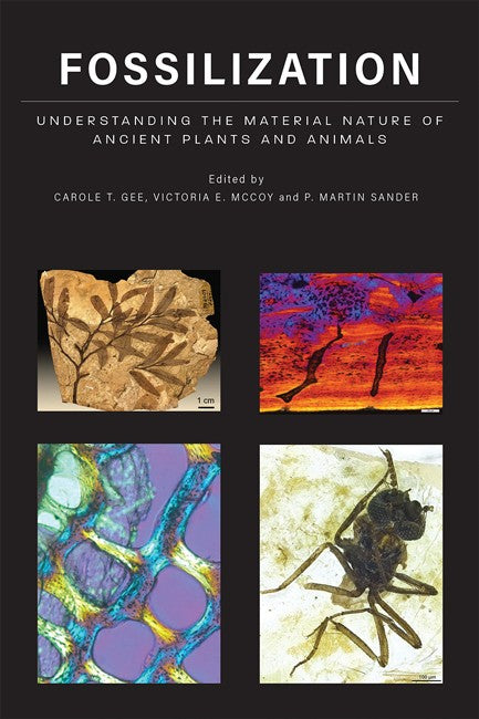 Fossilization cover