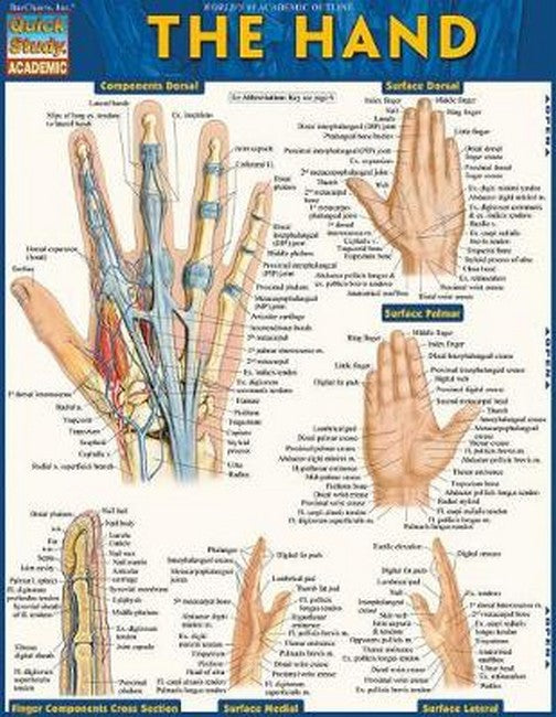 The Hand cover
