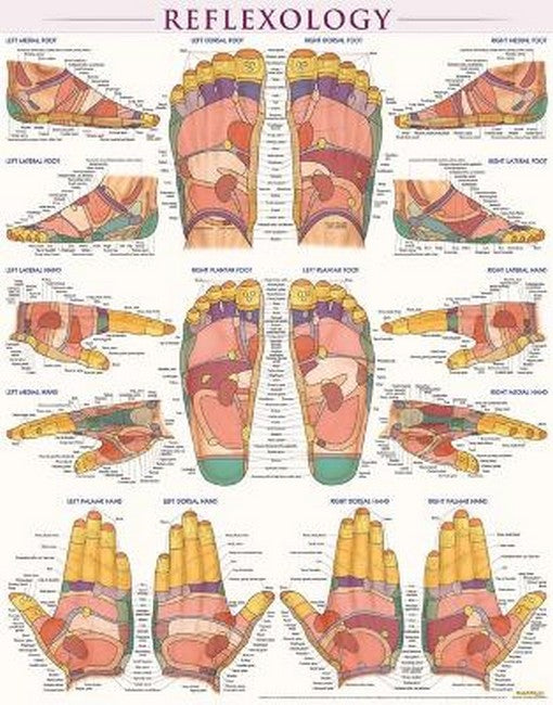 Reflexology-Laminated cover
