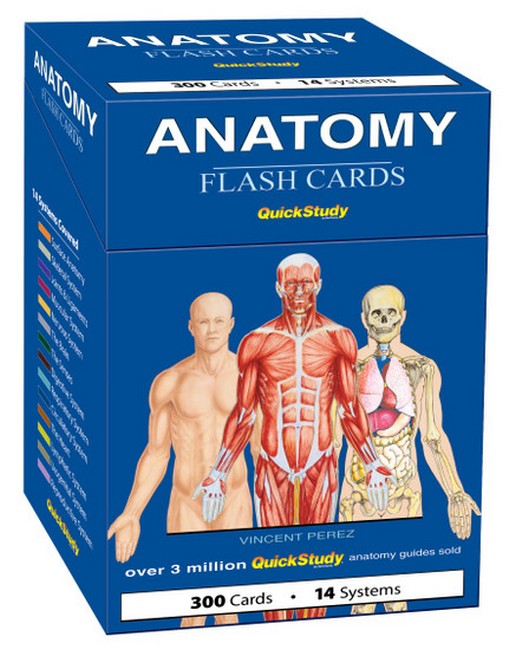 Anatomy Flash Cards cover