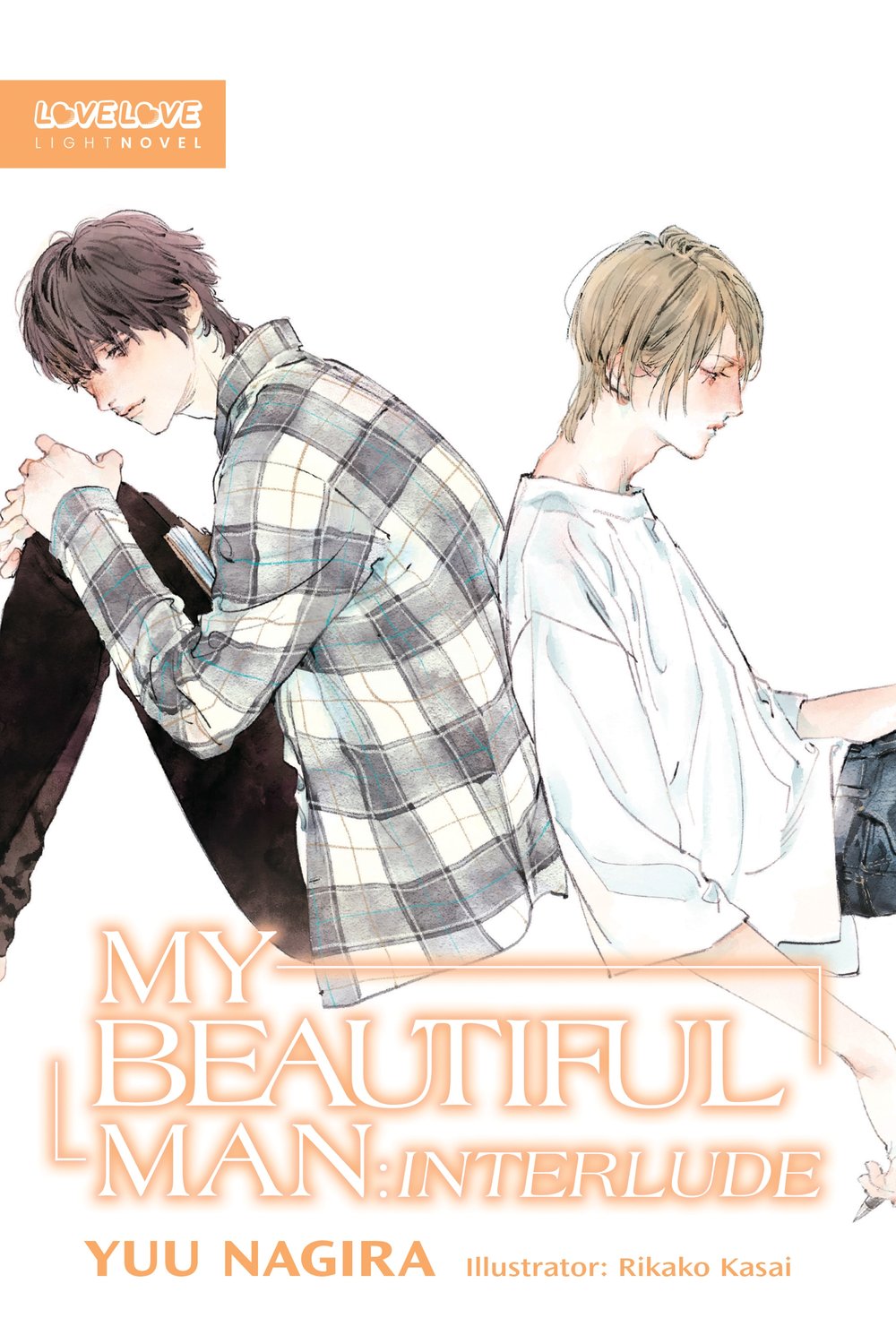 My Beautiful Man: Interlude (Light Novel)