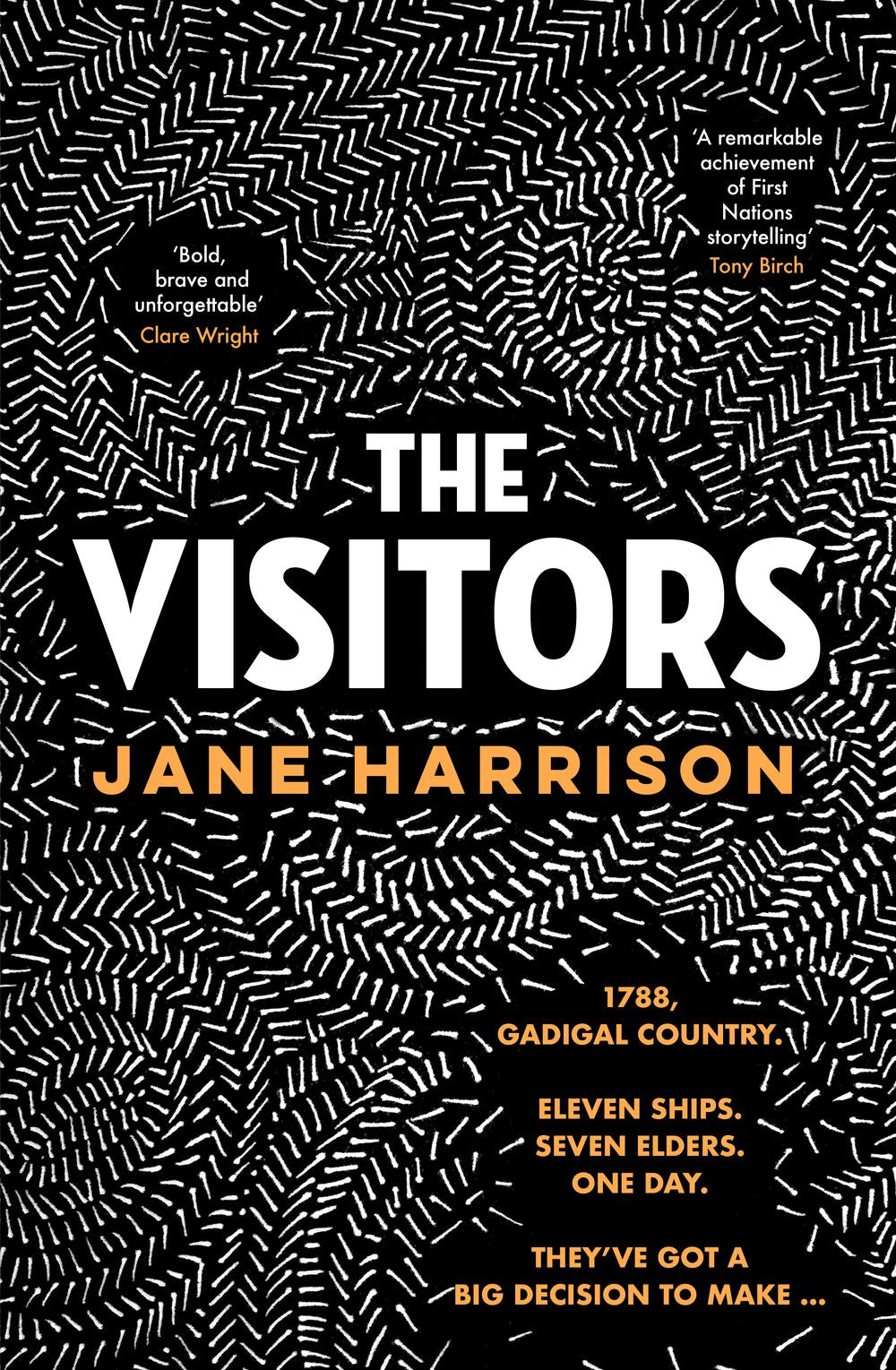 The Visitors: The remarkable debut novel from an award-winning author and playwright, for readers of Melissa Lucashenko, Shankari Chandran and Tara June Winch