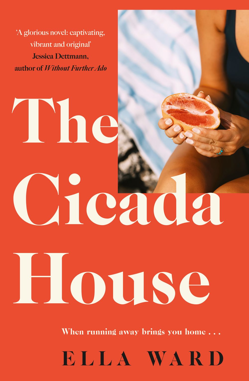 The Cicada House: A heartfelt and feel-good time-travelling love story and debut novel, perfect for readers of Dolly Alderton, Sally Hepworth and Mhairi McFarlane