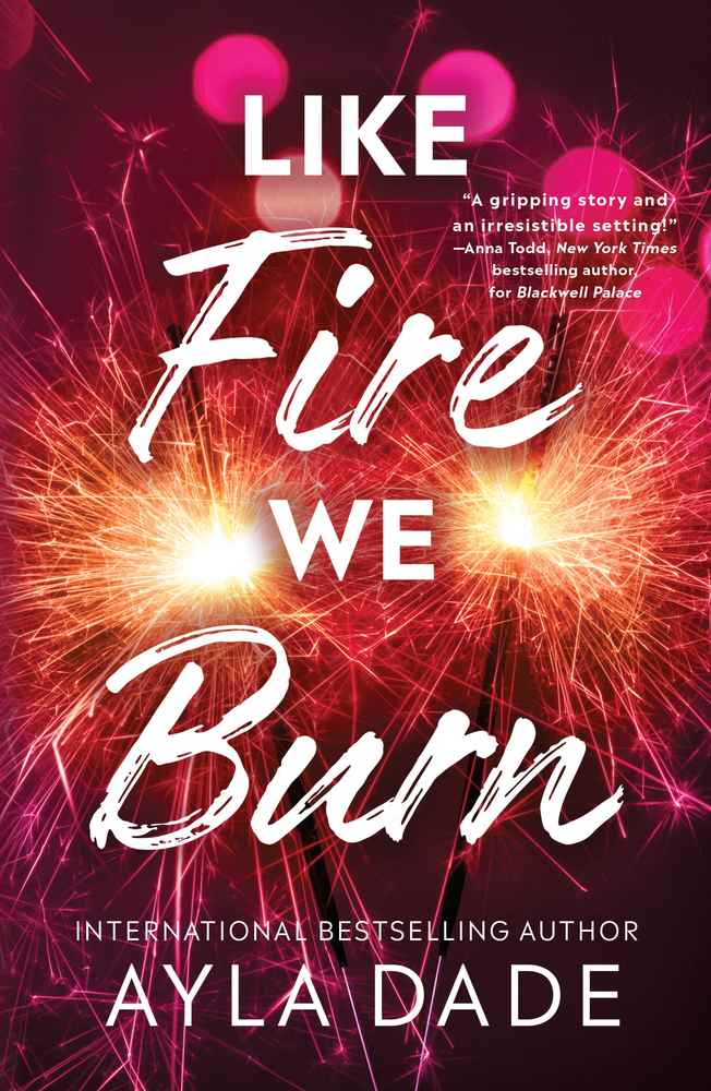 Like Fire We Burn book cover