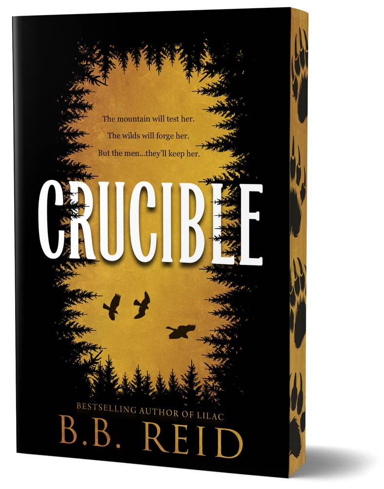 Crucible book cover
