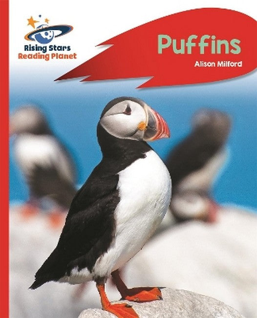 Reading Planet - Puffins - Red A: Rocket Phonics cover