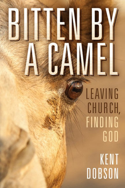 Bitten By a Camel cover