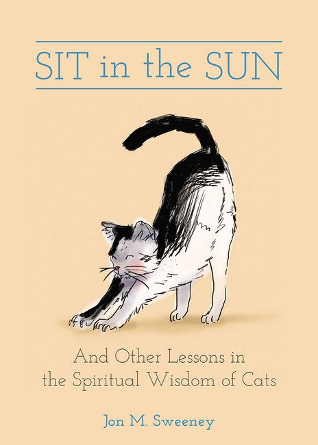 Sit in the Sun cover
