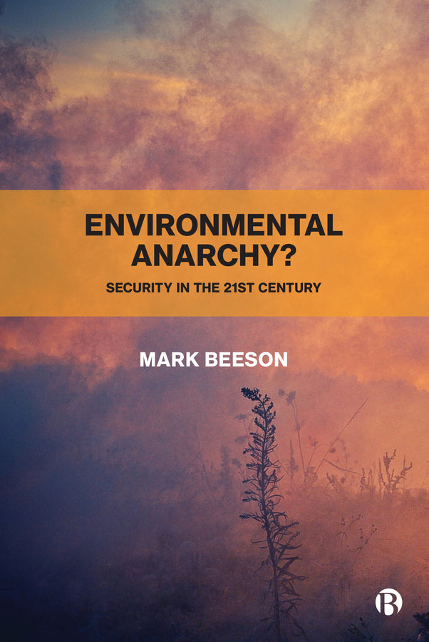 Environmental Anarchy?: Security in the 21st Century cover