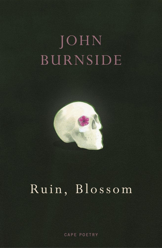 Ruin, Blossom book cover