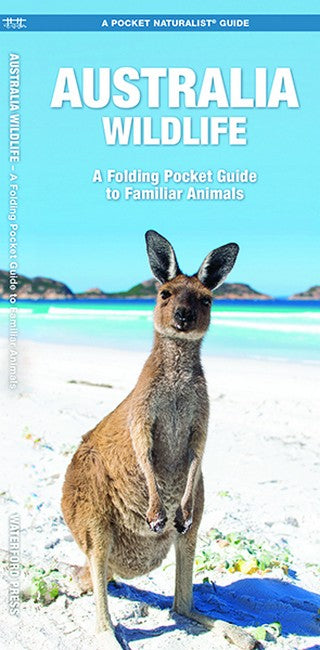 Australian Wildlife cover
