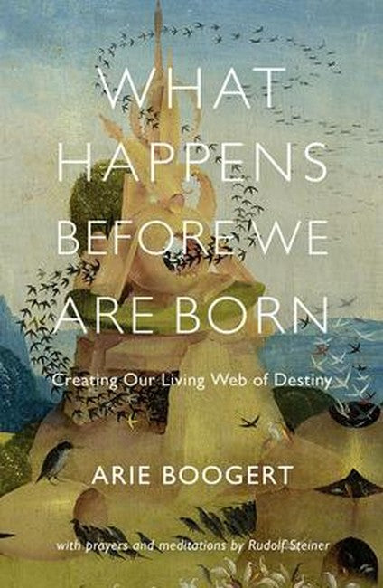 What Happens Before We Are Born cover