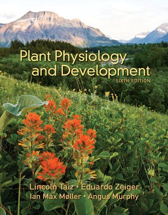 Plant Physiology and Development book cover