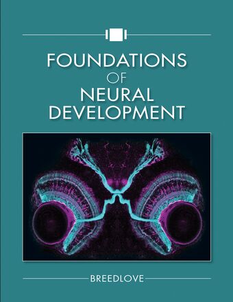 Foundations Of Neural Development book cover