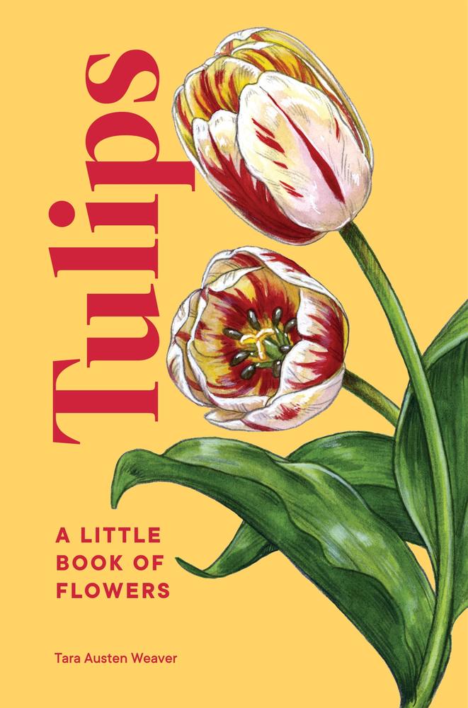 Tulips book cover