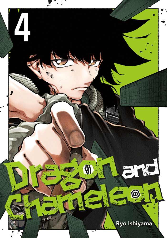 Dragon and Chameleon 04 book cover