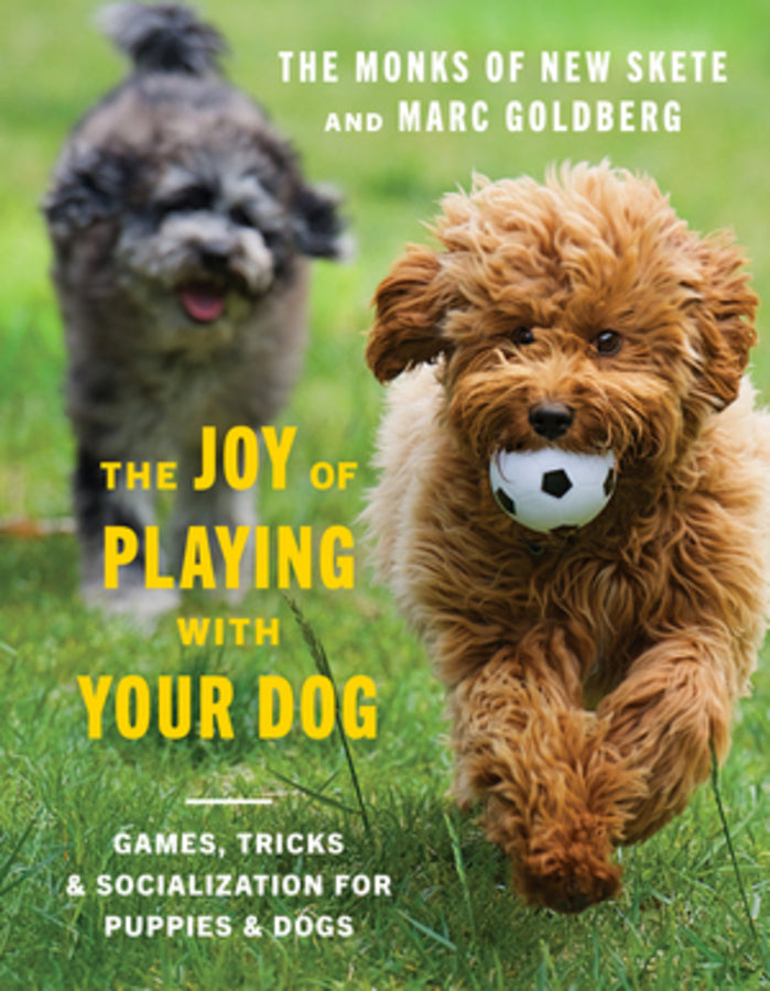 The Joy of Playing with Your Dog: Games, Tricks, & Socialization for Puppies & Dogs cover
