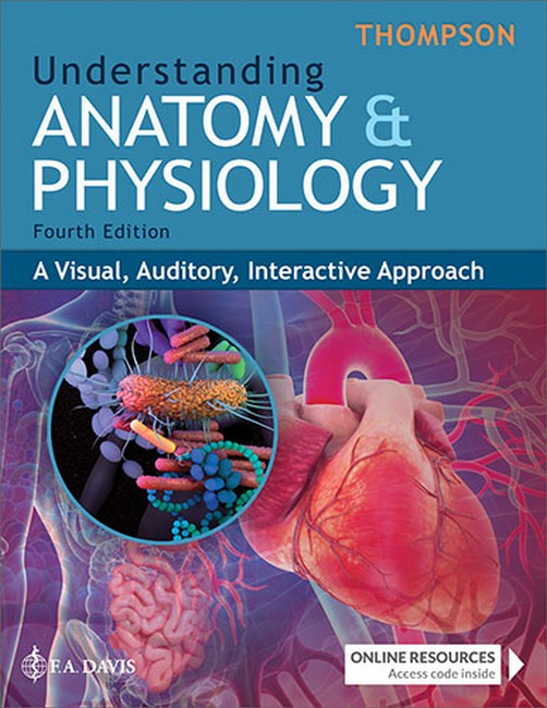Understanding Anatomy & Physiology cover