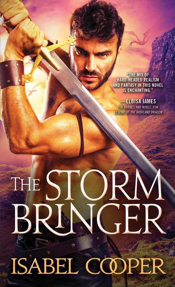 The Stormbringer book cover