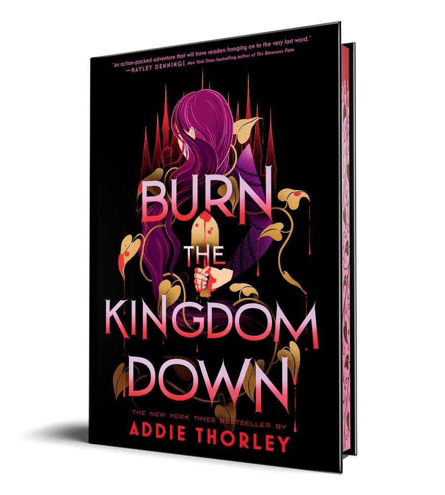 Burn the Kingdom Down book cover