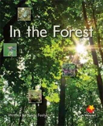 In the Forest book cover