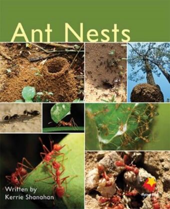 Ant Nests book cover