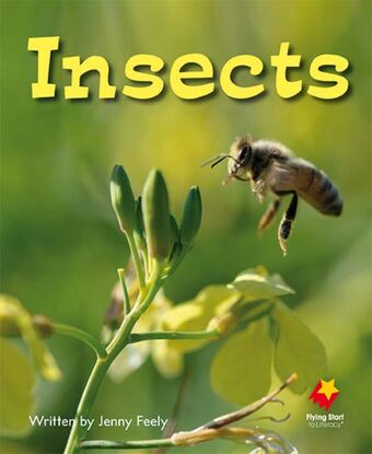 Insects book cover