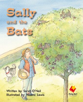 Sally and the Bats book cover