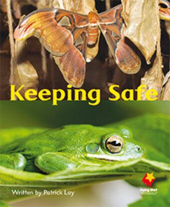 Keeping Safe book cover