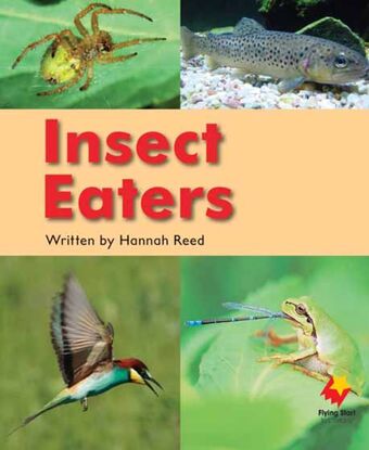 Insect Eaters book cover