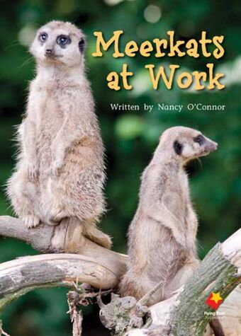 Meerkats at Work book cover