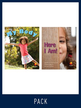 Flying Start Guided Reading Level 1, Pack 4 book cover