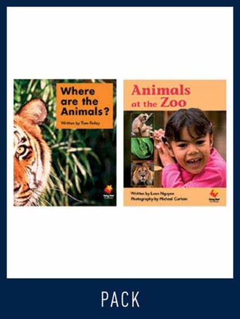 Flying Start Guided Reading Level 1, Pack 12 book cover
