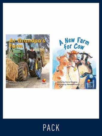 Flying Start Guided Reading Pack Level 4, Pack 5 book cover