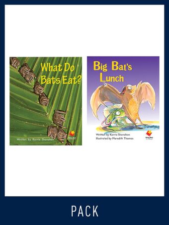 Flying Start Guided Reading Pack Level 5, Pack 2 book cover