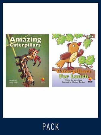 Flying Start Guided Reading Pack Level 9, Pack 2 book cover