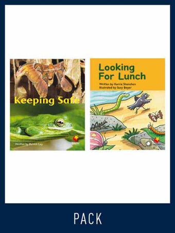 Flying Start Guided Reading Pack Level 10, Pack 4 book cover