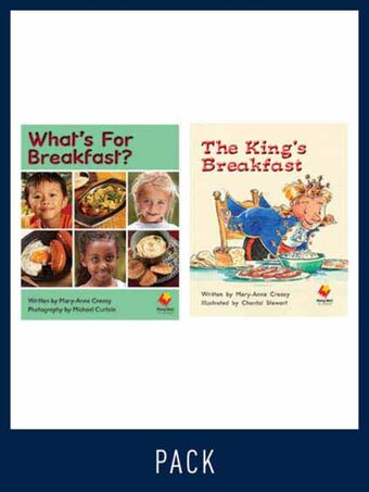 Flying Start Guided Reading Pack Level 11, Pack 3 book cover