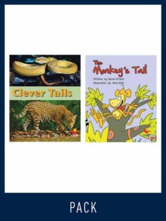 Flying Start Guided Reading Pack Level 12, Pack 3 book cover