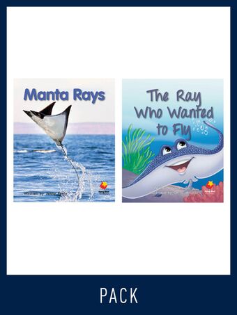 Flying Start Guided Reading Pack Level 12, Pack 2 book cover