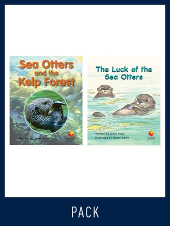 Flying Start Guided Reading Pack Level 14, Pack 3 book cover