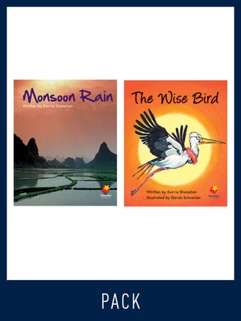 Flying Start Guided Reading Pack Level 14, Pack 4 book cover