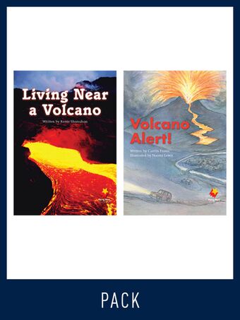 Flying Start Guided Reading Level 16, Pack 3 book cover