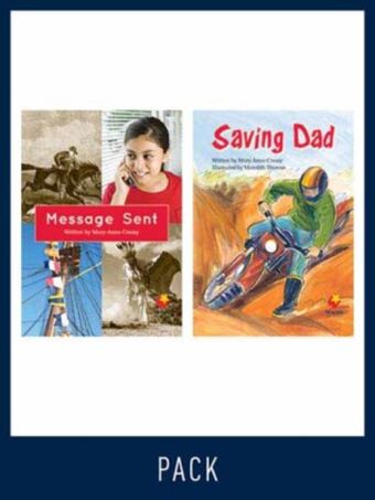 Flying Start Guided Reading Level 16, Pack 5 book cover