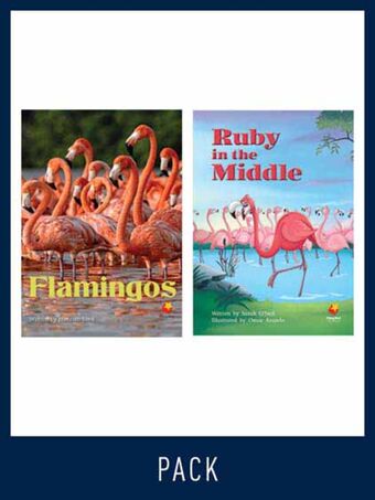 Flying Start Guided Reading Level 16, Pack 2 book cover