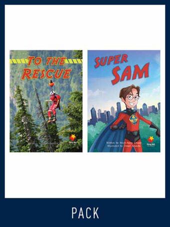 Flying Start Guided Reading Level 17, Pack 1 book cover