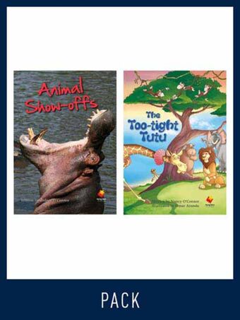 Flying Start Guided Reading Level 19, Pack 2 book cover
