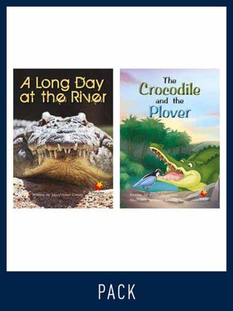 Flying Start Guided Reading Level 20, Pack 2 book cover